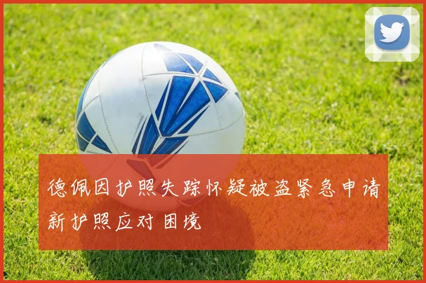 德佩因护照失踪怀疑被盗紧急申请新护照应对困境