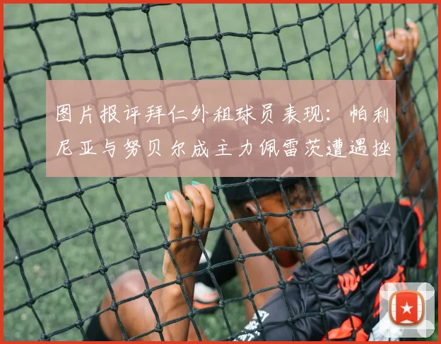 图片报评拜仁外租球员表现：帕利尼亚与努贝尔成主力佩雷茨遭遇挫折