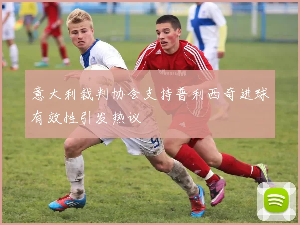 意大利裁判协会支持普利西奇进球有效性引发热议