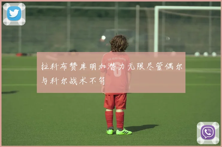 拉科布赞库明加潜力无限尽管偶尔与科尔战术不符
