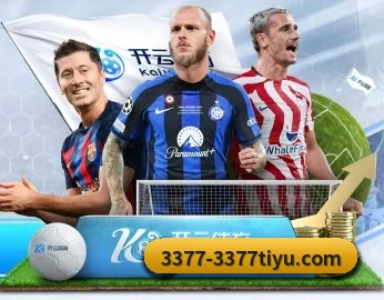 平台简介 - 体育资讯内容服务 - 3377Sports